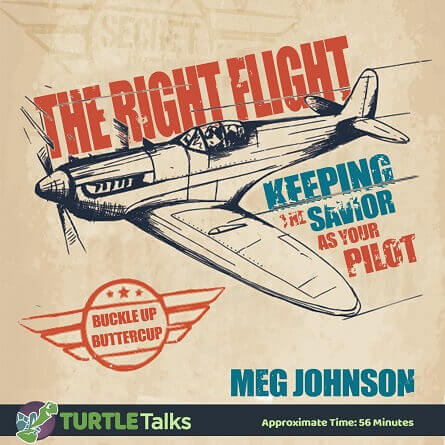 Read more about the article THE RIGHT FLIGHT