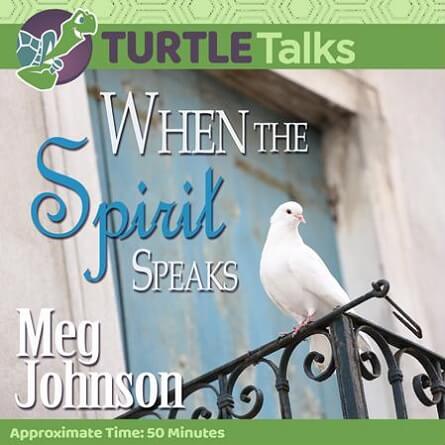 Read more about the article WHEN THE SPIRIT SPEAKS