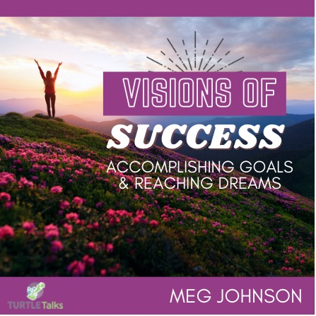 Read more about the article VISIONS OF SUCCESS
