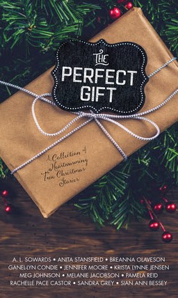 Read more about the article The Perfect Gift